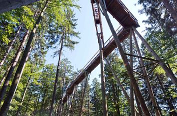 Baumwipfelpfad Bayerischer Wald