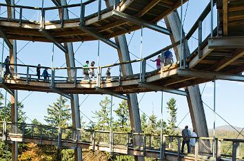 Im Baumturm des Baumwipfelpfades