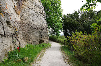 Rundwanderweg Burg Altenstein