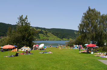 Badewiese am Großen Alpsee