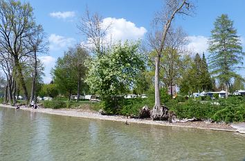 Ufer des Pilsensees