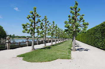 Lindenallee am See Schloss Seehof