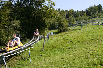 Sommerrodelbahn am Alpsee