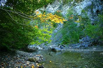 Starzlachklamm