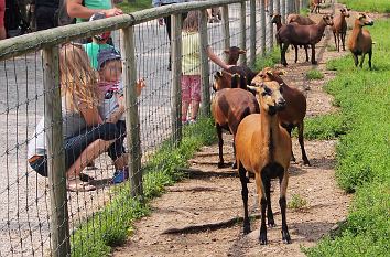 Gehege Wildpark Poing