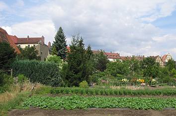 Gärtnereien in der Gärtnerstadt