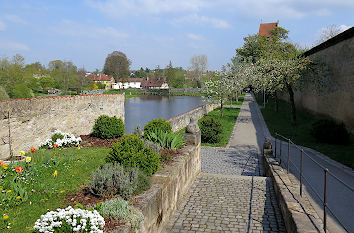 Stadtmauer Grünanlage Dinkelsbühl