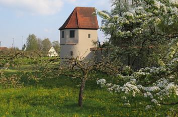Stadtmauer an der Bleiche in Dinkelsbühl