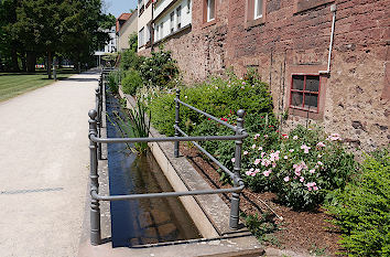 Stadtbach in Lohr am Main