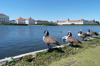 Weiher und Schloss Nymphenburg