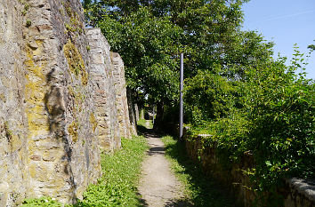 Zwingerrundweg in Nabburg