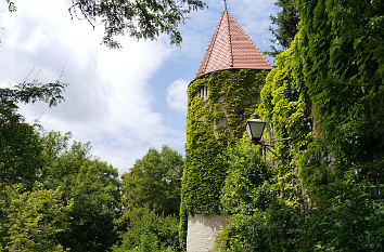 Stadtmauer Hofgarten Neuburg