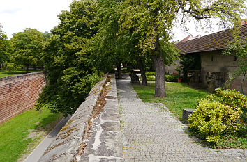 Bürgermeistergarten Nürnberg: Dreifachmauer mit Zwinger, Wall und Wehrgang