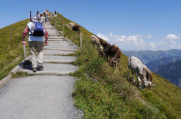 Wanderweg Fellhorn Allgäu