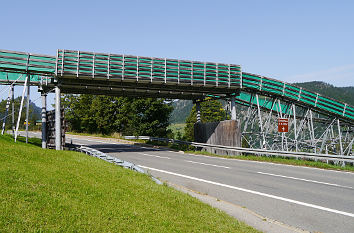 Sommerrodelbahn über die Straße