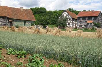 Bauernhöfe und Getreidefelder im Freilichtmuseum