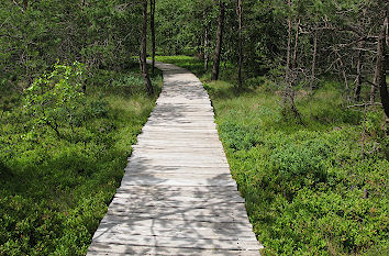 Moorlehrpfad Rhön