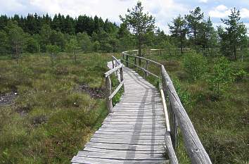 Steg durch das Schwarze Moor (Rhön)