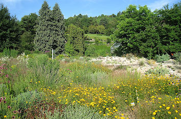 Botanischer Garten Würzburg