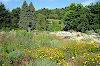 Botanischer Garten Universität Würzburg