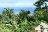 Aussicht vom Pico Isabel de Torres