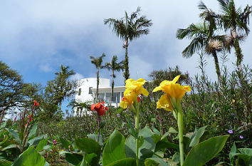Botanischer Garten auf den Pico Isabel de Torres in Puerto Plata
