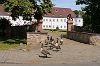 Gänse verlassen Schloss Heusenstamm