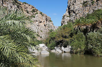 Paralia Preveli Insel Kreta