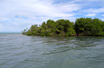 Mangovenk��ste bei Punta Rucia