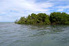 Mangovenküste bei Punta Rucia