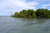 Mangovenküste bei Punta Rucia