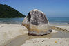 Monkey Beach National Park Penang