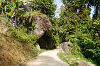 Wanderweg Penang Hill
