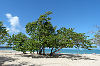 Playa Dorada