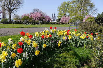 Kölner Rheinpark