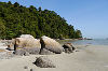 Strand im Nationalpark Penang