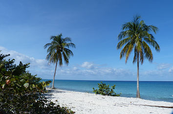 Strand mit Palmen in der Karibik