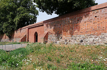Stadtmauer Angermünde am Pulverturm