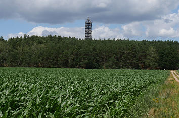 Blick auf den Aussichtsturm Blumenthal