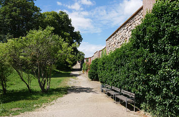 Burg Eisenhardt Burgmauer