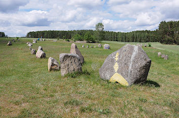 Findlinge auf Wiese im Naturpark Schlaubetal