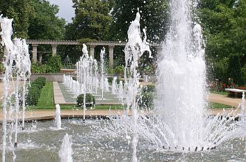 Ostdeutscher Rosengarten in Forst (Lausitz) - Magisches, Musikalisches und  Heiteres inmitten blühender und duftender Rosen