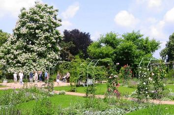 Ostdeutscher Rosengarten Forst