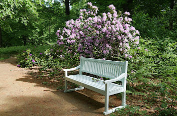 Weiße Bank Schlosspark Altdöbern