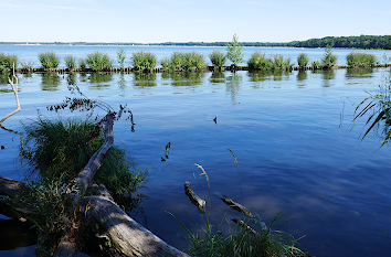 Müggelsee in Berlin