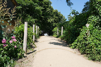 Parkanlage Pfaueninsel Berlin