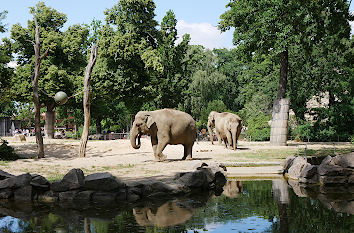 Zoologischer Garten