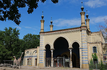 Giraffen vor Antilopenhaus im Zoo Berlin