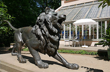 Löwe vor Gewächshaus Fürst-Pückler-Park Branitz