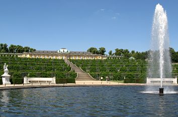 Schloss Sanssouci mit Weinbergterrassen